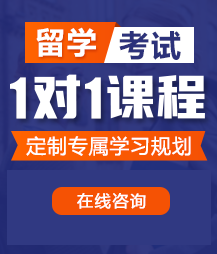 男人的鸡放进女人的小穴里免费网站留学考试一对一精品课